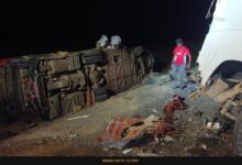 IMG ٢٠٢٥١٠٣٠ ٢٠٢٥٥٣