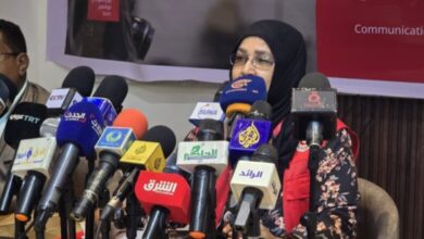 Screenshot 20251112 171414 com.huawei.hwsearch edit 11951309325804