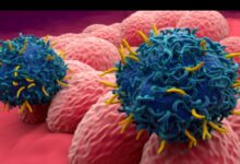 Screenshot 20251204 171223 com.huawei.intelligent edit 1133178890316370