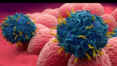 Screenshot 20251204 171223 com.huawei.intelligent edit 1133178890316370