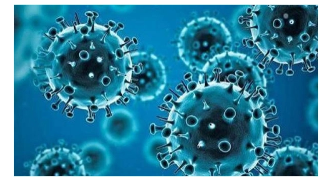 هل تشير تحذيرات الصحة العالمية إلى موجة كورونا جديدة؟ 1 Screenshot 20251213 195154 com.huawei.intelligent edit 1721107593626103