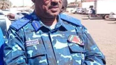 Screenshot 20251231 174353 com.huawei.hwsearch edit 124023533094510